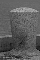tumnagel